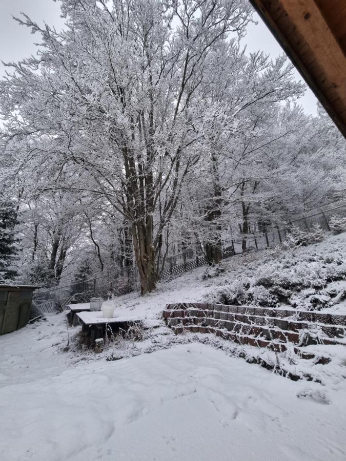 Ferienwohnung Schneeberg Stryck Exterior foto